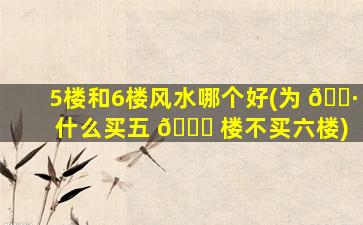 5楼和6楼风水哪个好(为 🌷 什么买五 🕊 楼不买六楼)